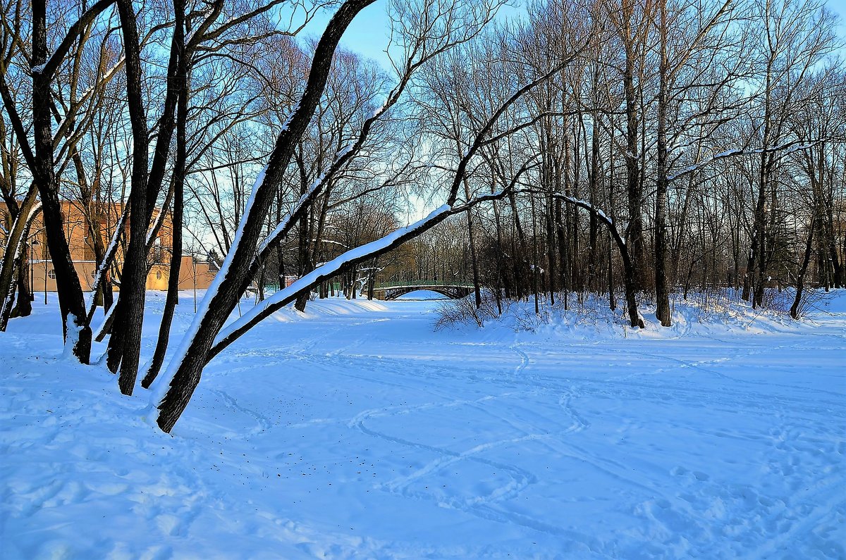 В зимнем очаровании... - Sergey Gordoff