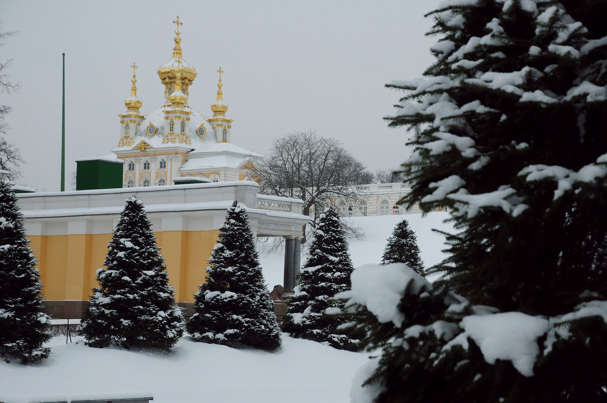 парк петергоф зимой