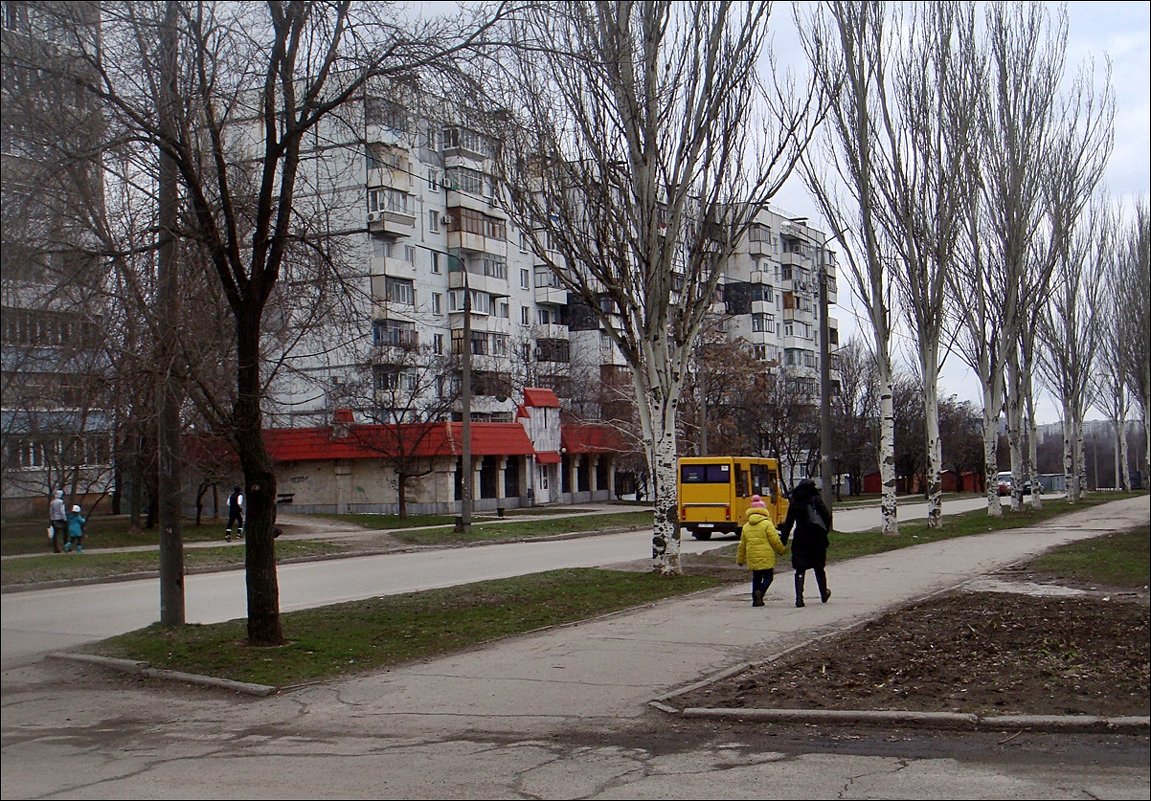 Трава среди зимы - Нина Корешкова