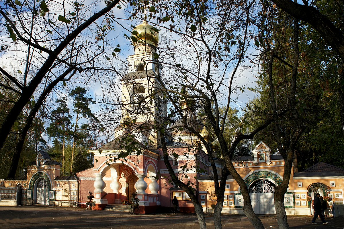 Преображенский храм в селе Лукине, который со всех сторон обнесли патриаршими постройками - Елена Павлова (Смолова)