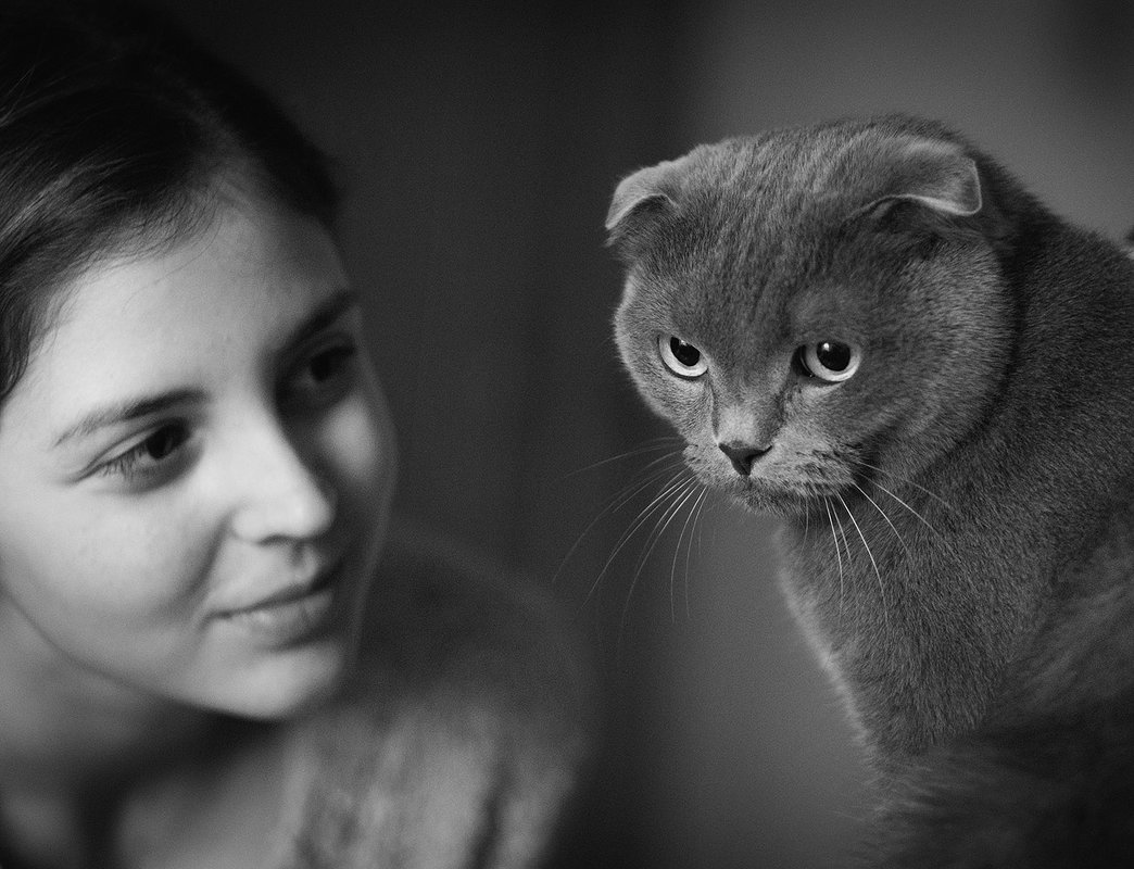 Человек и кошка - Артем Воробьев