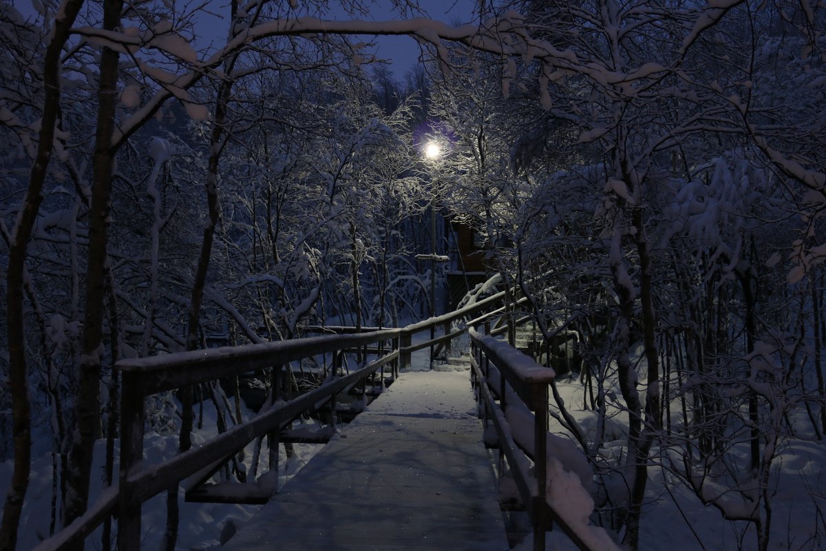 Зимний вечер - Ольга 