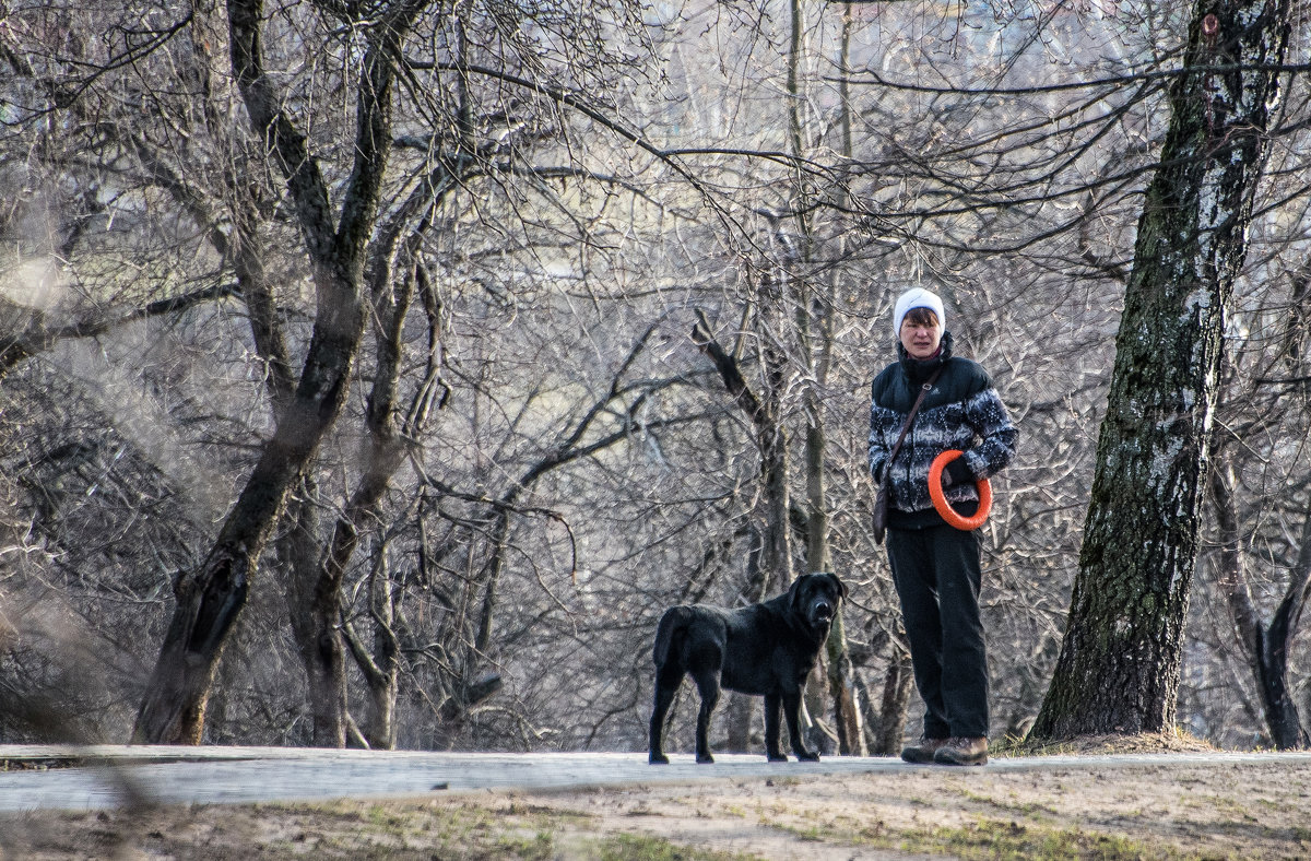 Я оглянулся посмотреть... - Владимир Безбородов