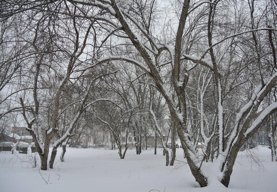 в снегу - Володя Коваленко