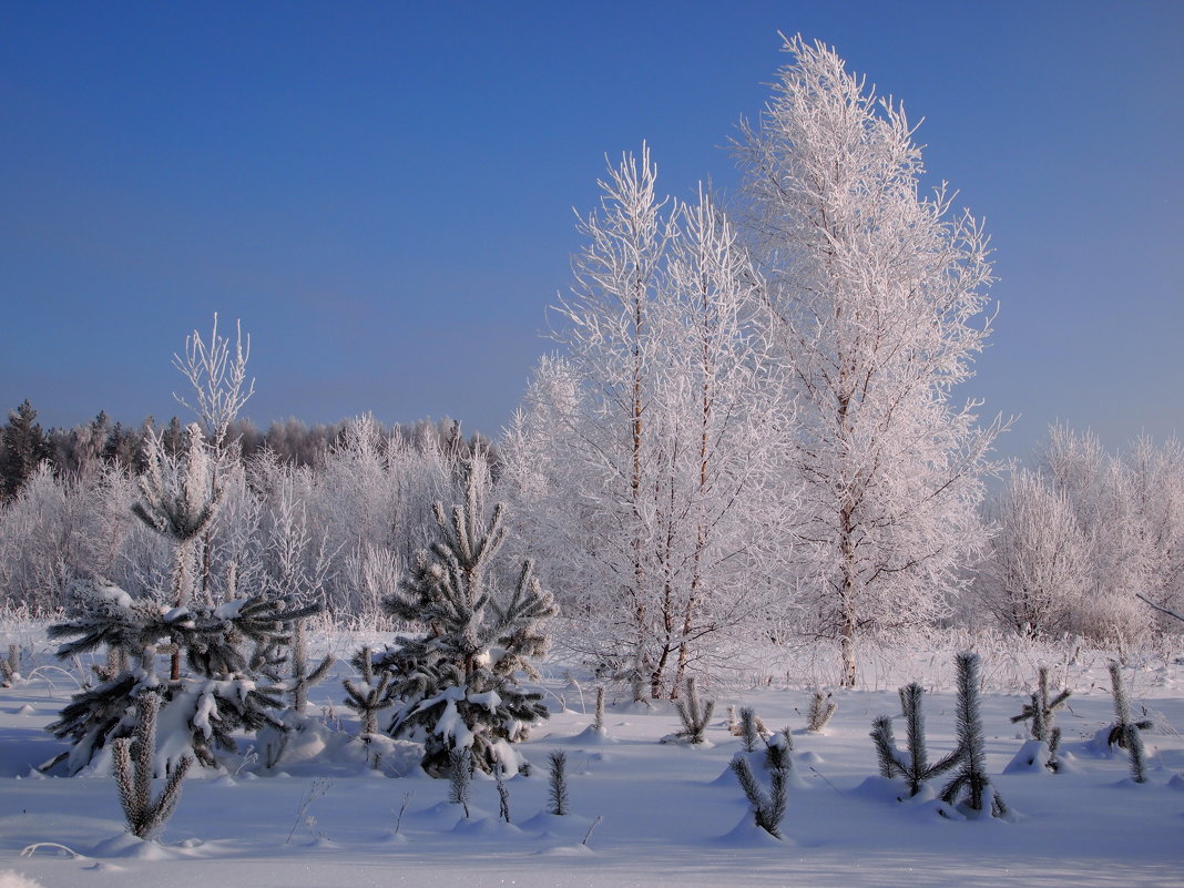 Зима - ГАЛИНА Баранова