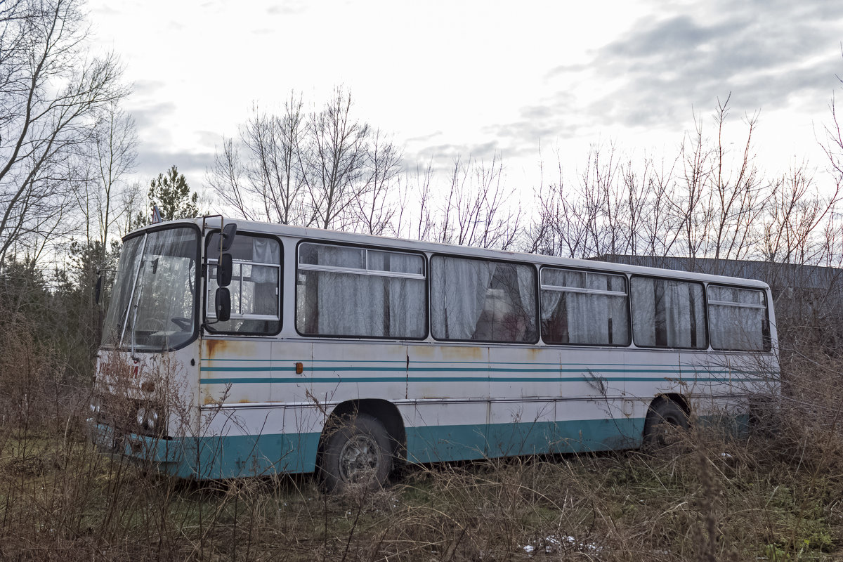 Икарус 255 на окраине города Бийска - Иван Зарубин