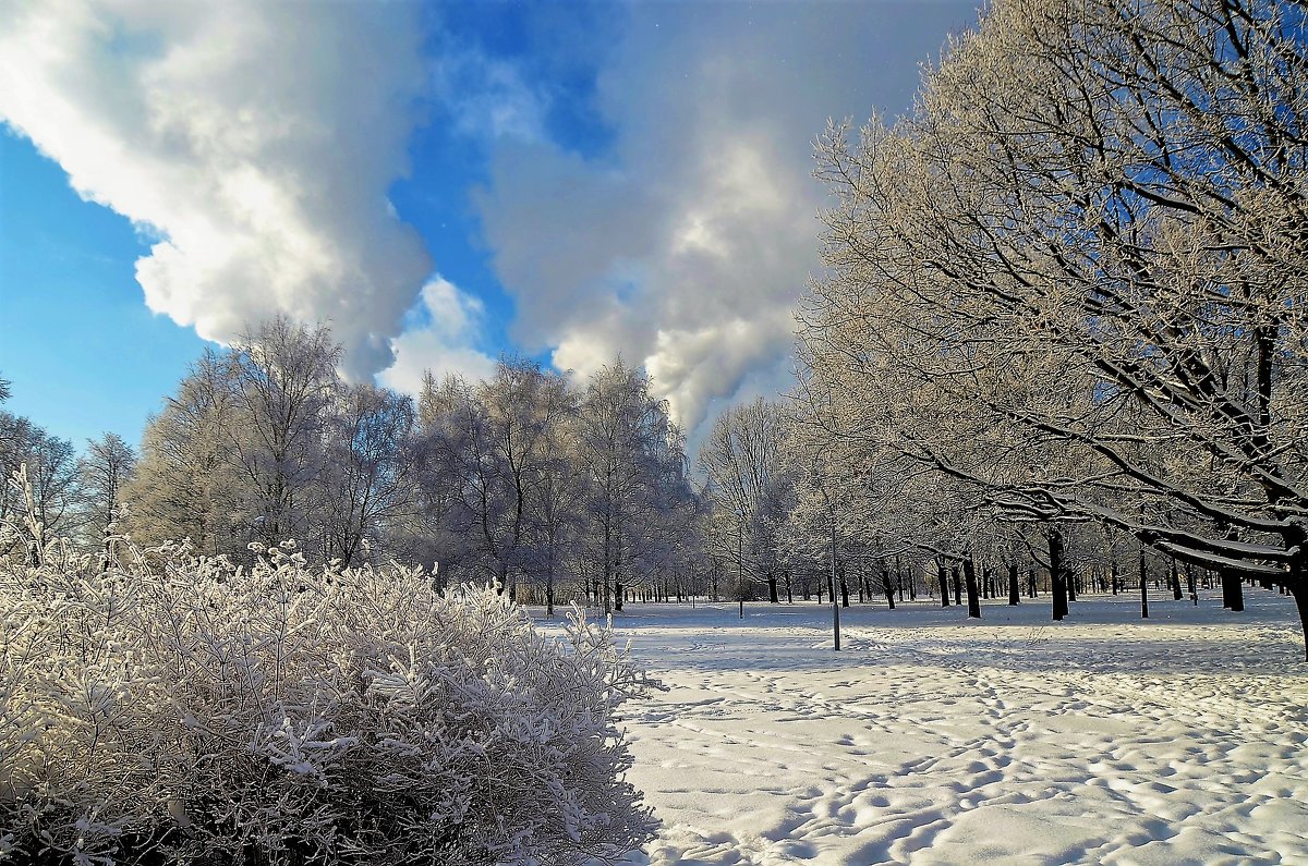 Снежное очарование... - Sergey Gordoff