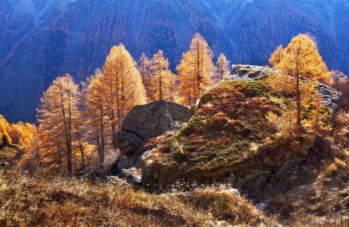 осень в горах - Elena Wymann