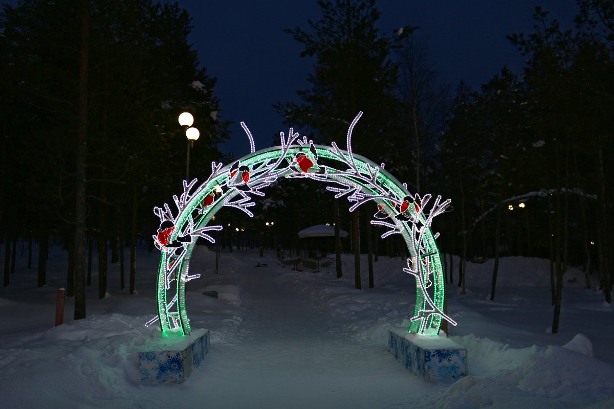Снегириные ворота - Ольга 