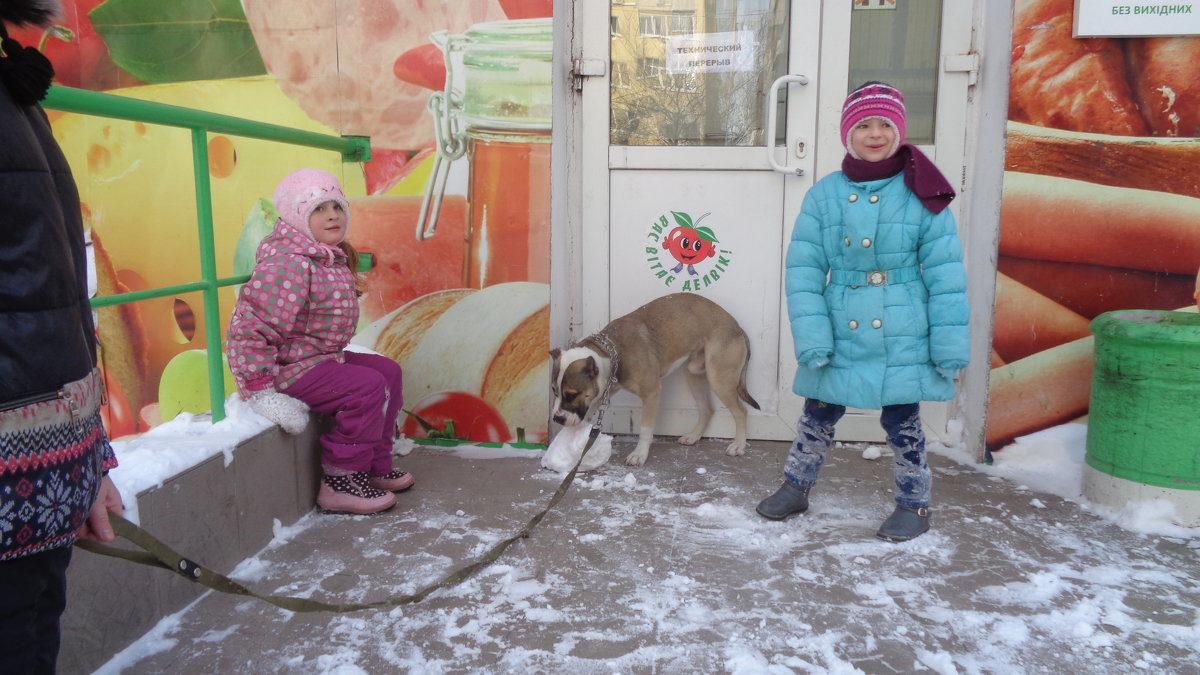 Снежный гламурный напиток для собаки!... - Алекс Аро Аро