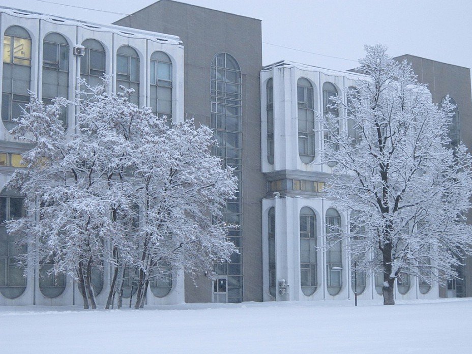 Зимняя красота - Дмитрий Никитин
