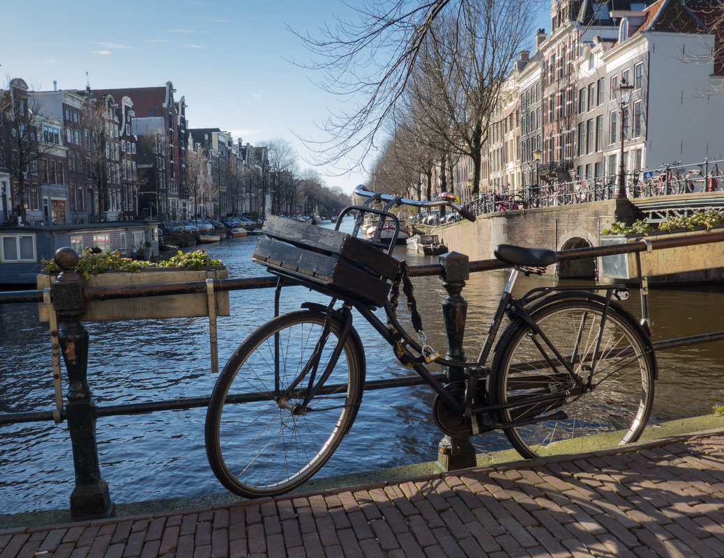 Главное транспортное средство в Амстердаме - Nata_li В.