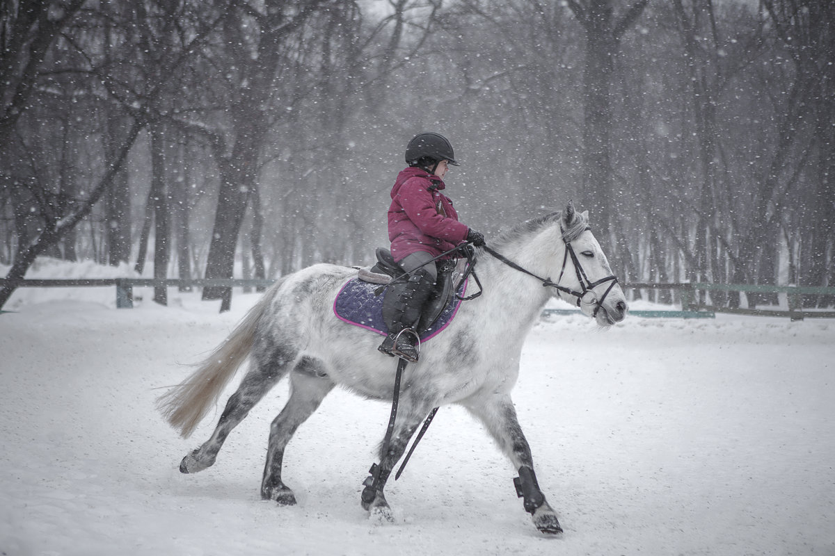 снегопад - Елена Логачева