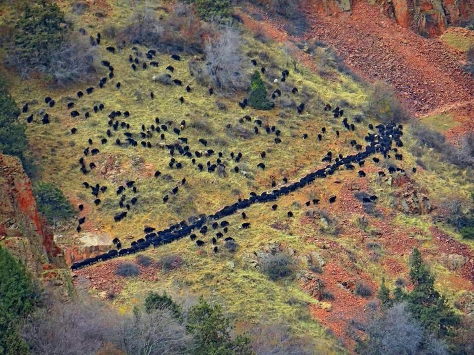 ОСЕННИЕ ПРОГУЛКИ. - Виктор Осипчук