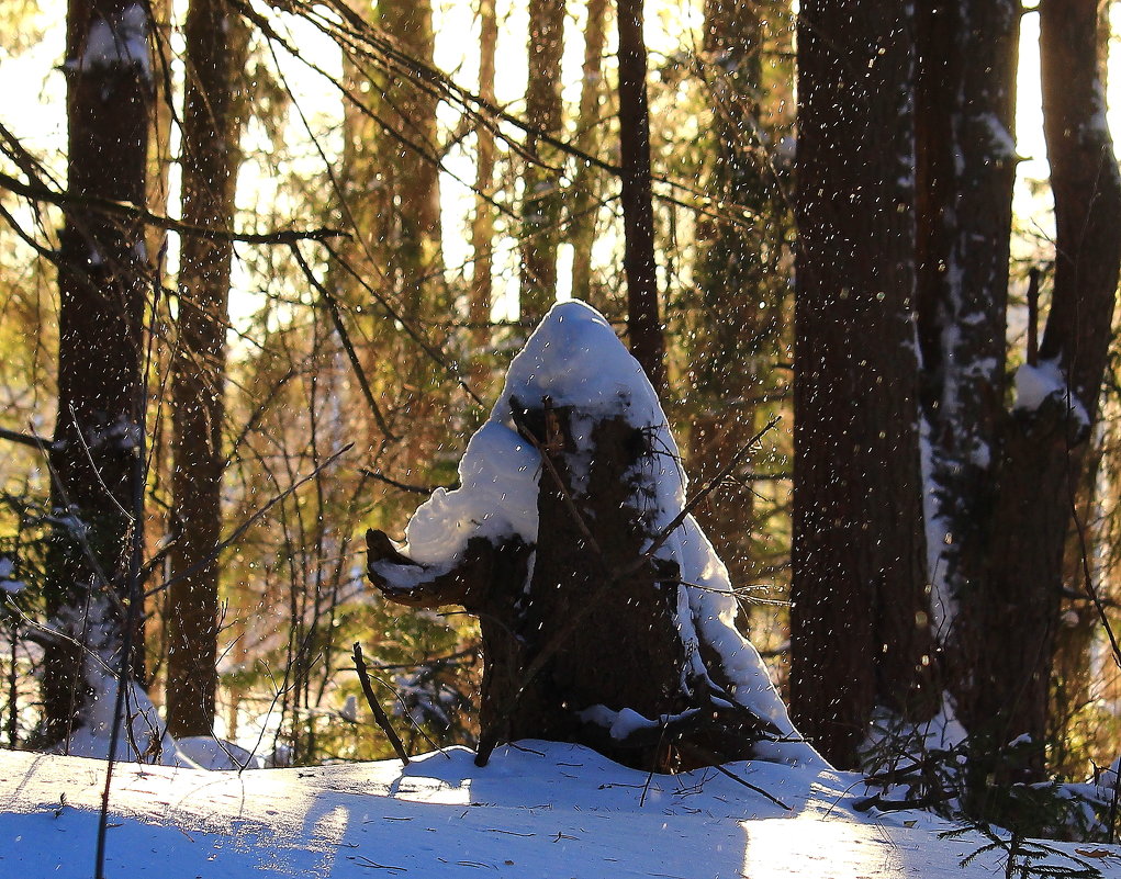 Осыпает снег с деревьев март - Татьяна Ломтева