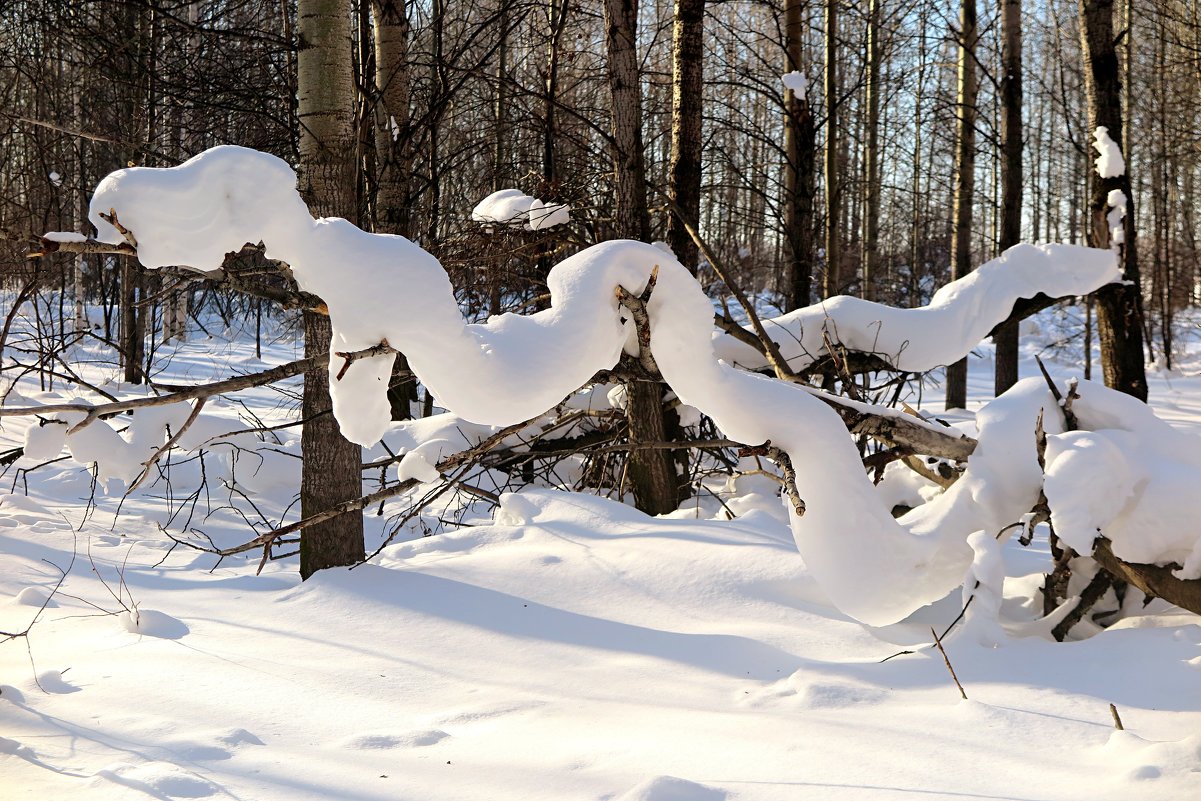Снежный змий - Leonid Rutov
