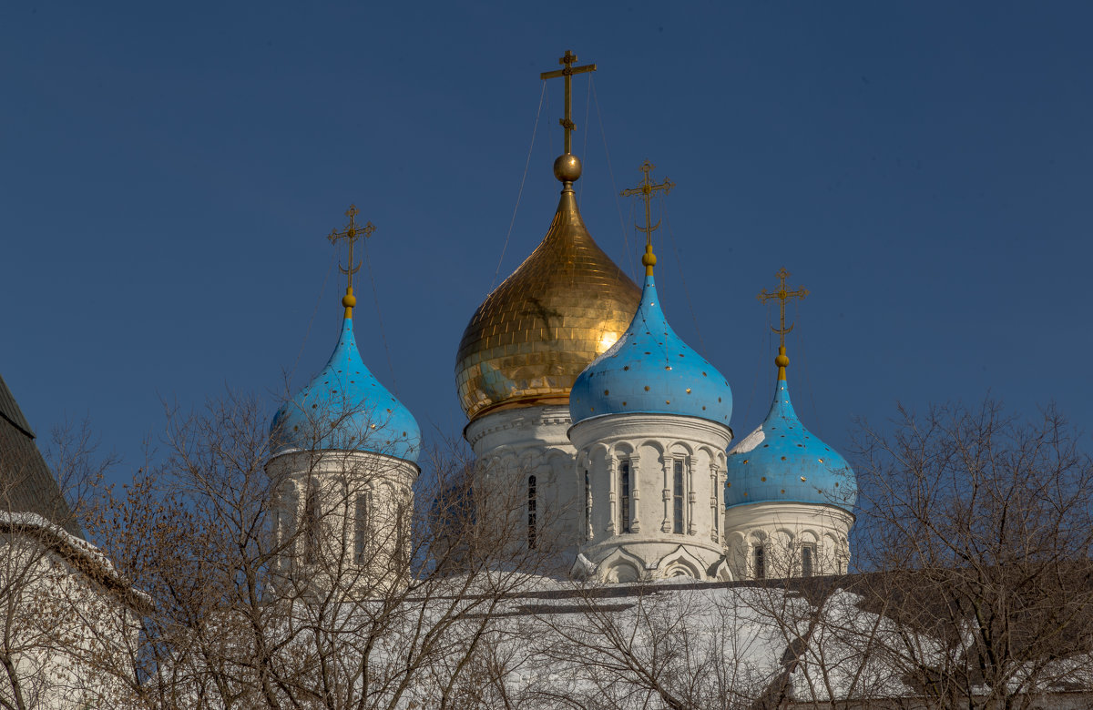 Купола Новоспасского - Александра 