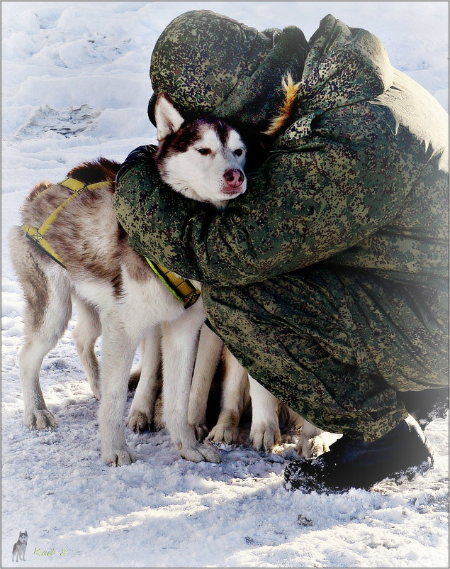 Вы мои лапы... - Кай-8 (Ярослав) Забелин