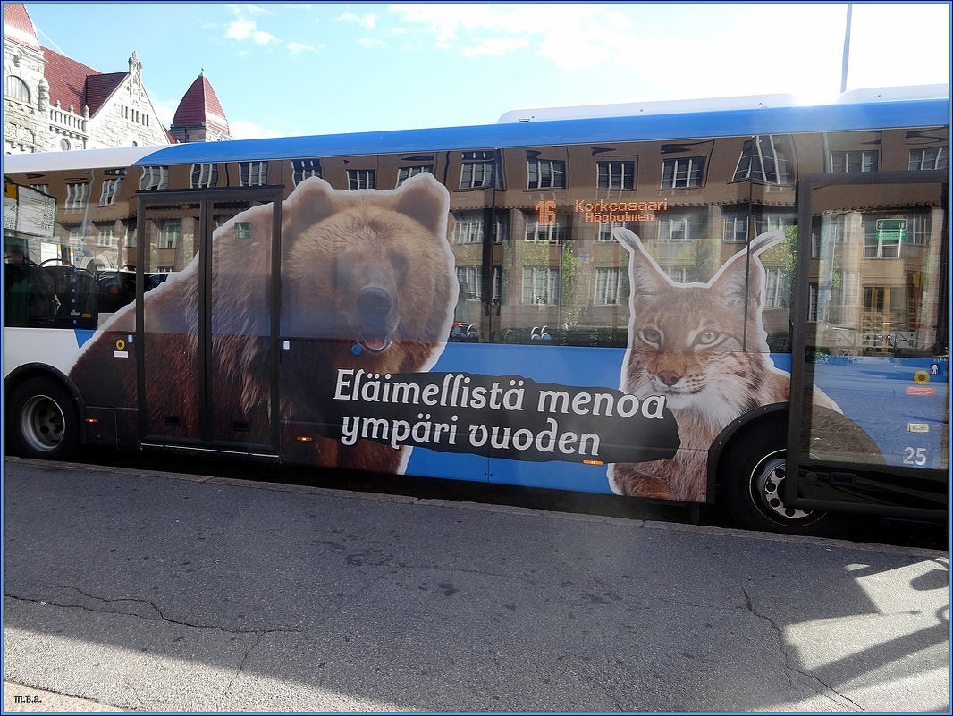 Веселый автобус в зоопарк - Вера 