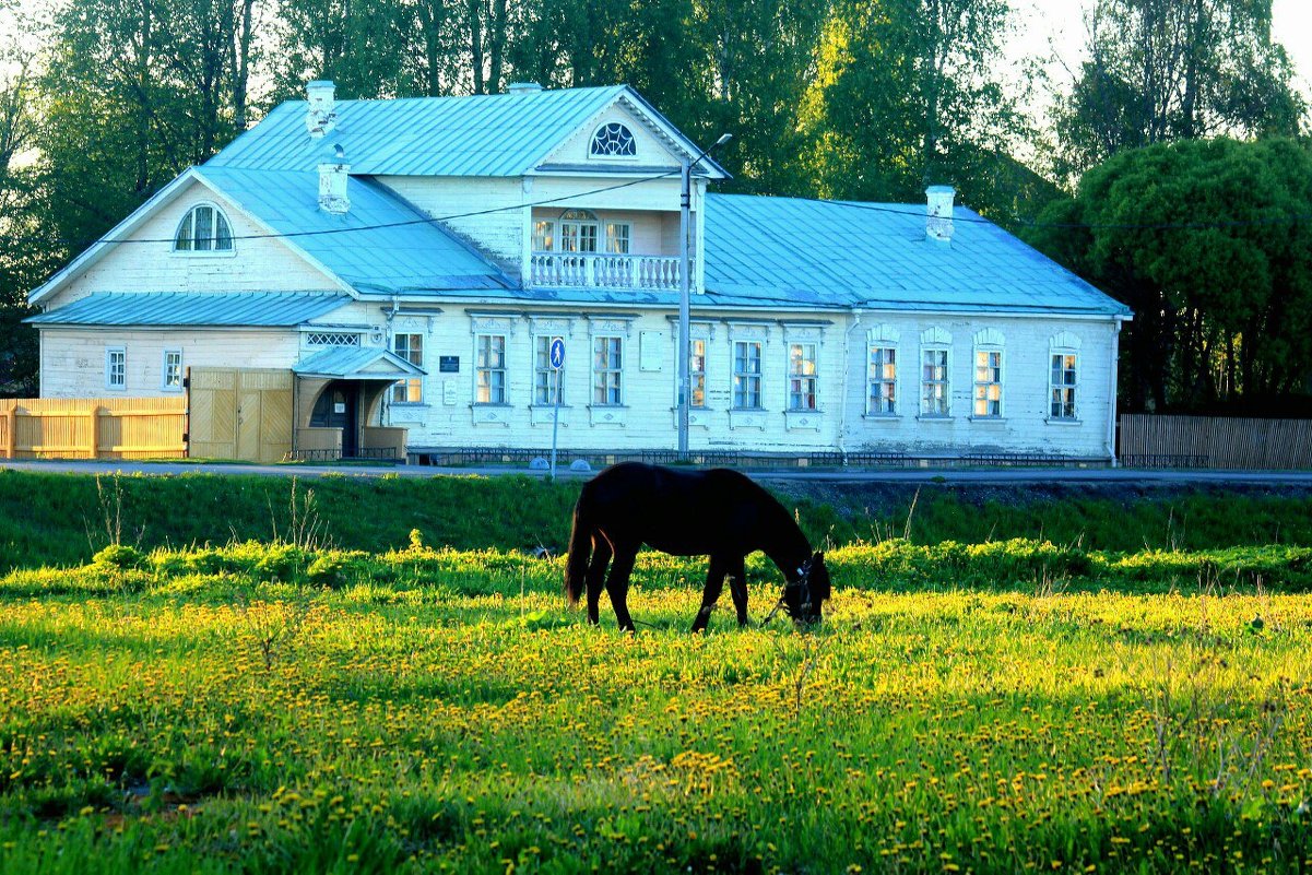 ****** - Сергей Кочнев