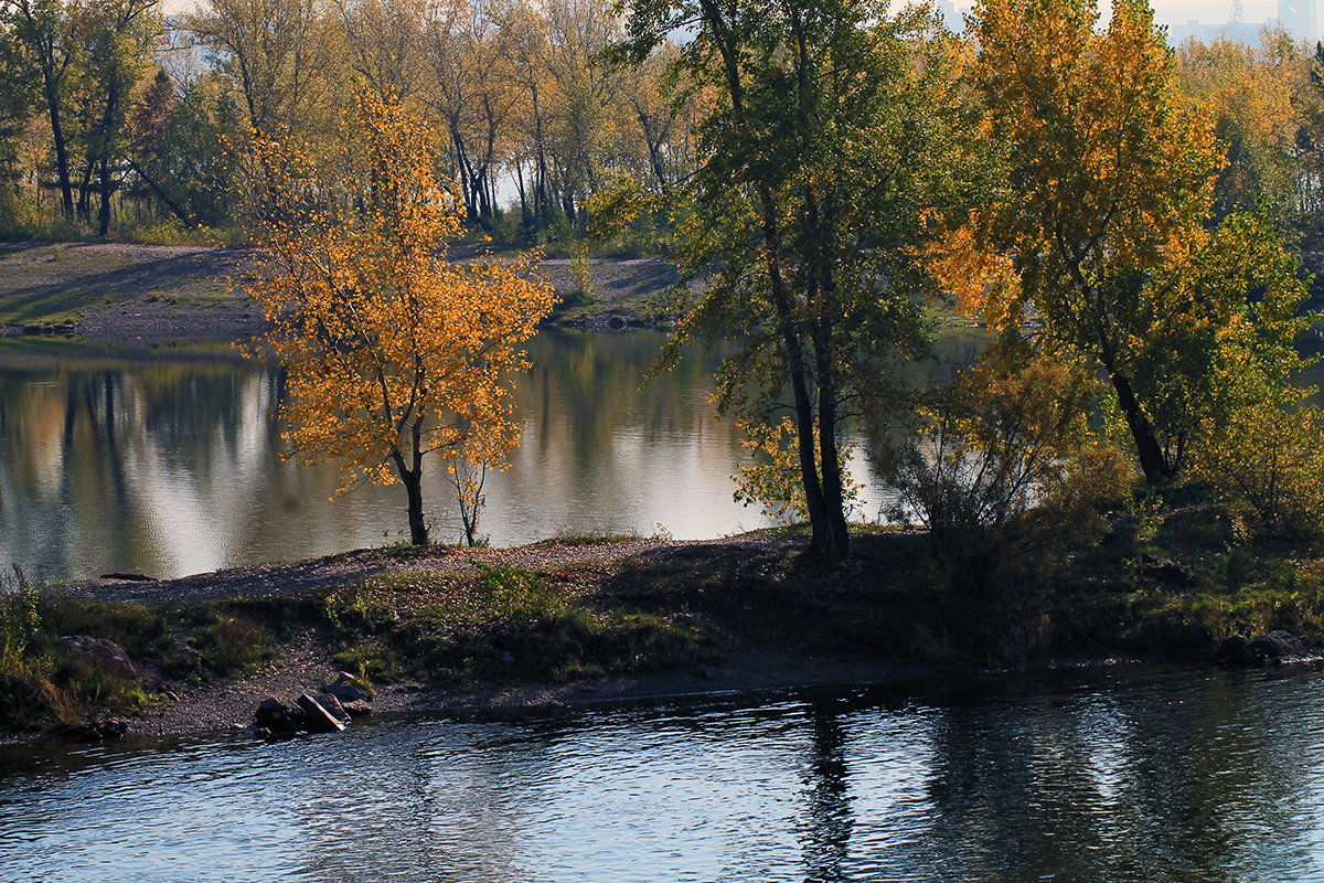 Осень по берегам реки - Екатерина Торганская