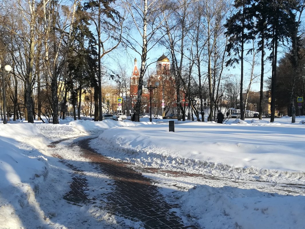 Петровский парк - Владимир Прокофьев