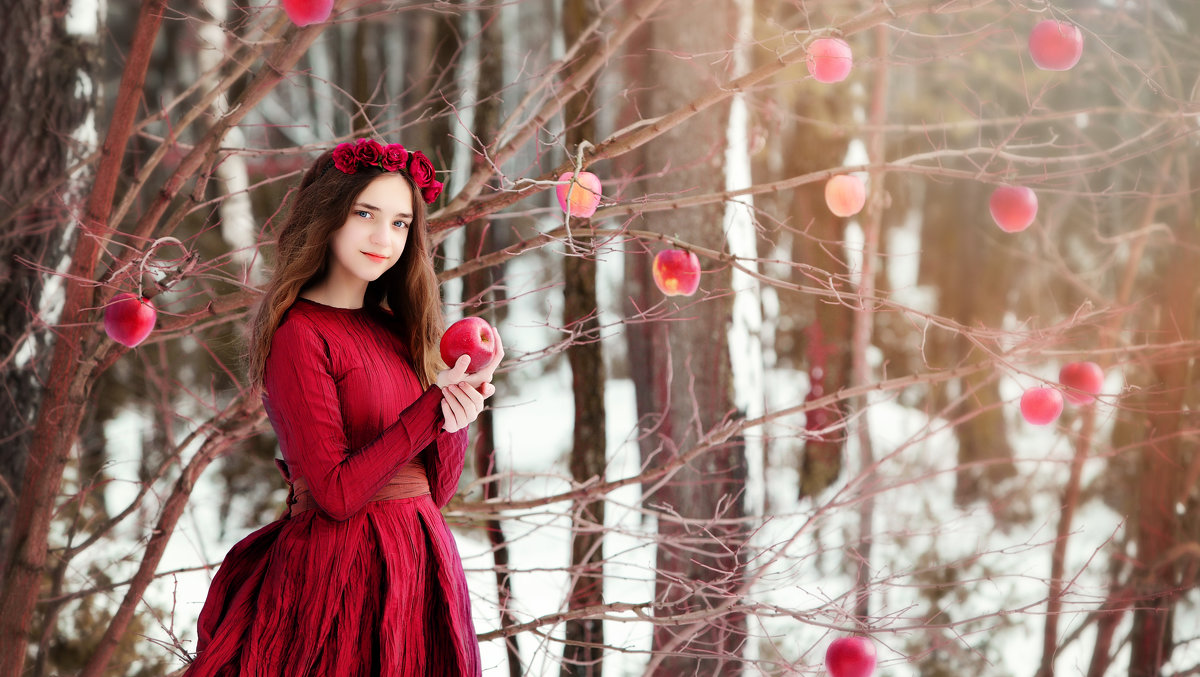 jabłka na śniegu - виктор омельчук