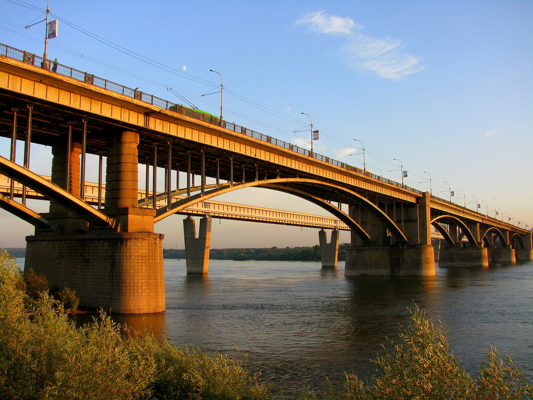 Мост через Обь - Марина Таврова 