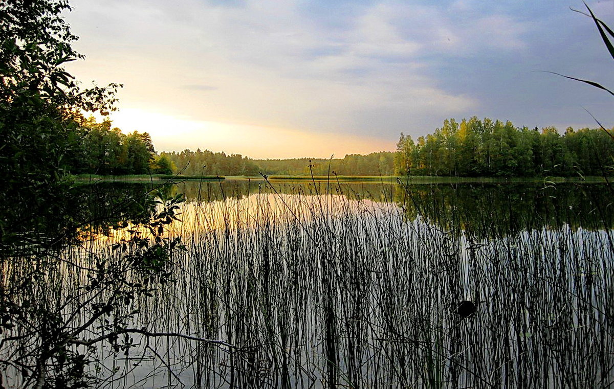 Утро - Александр 