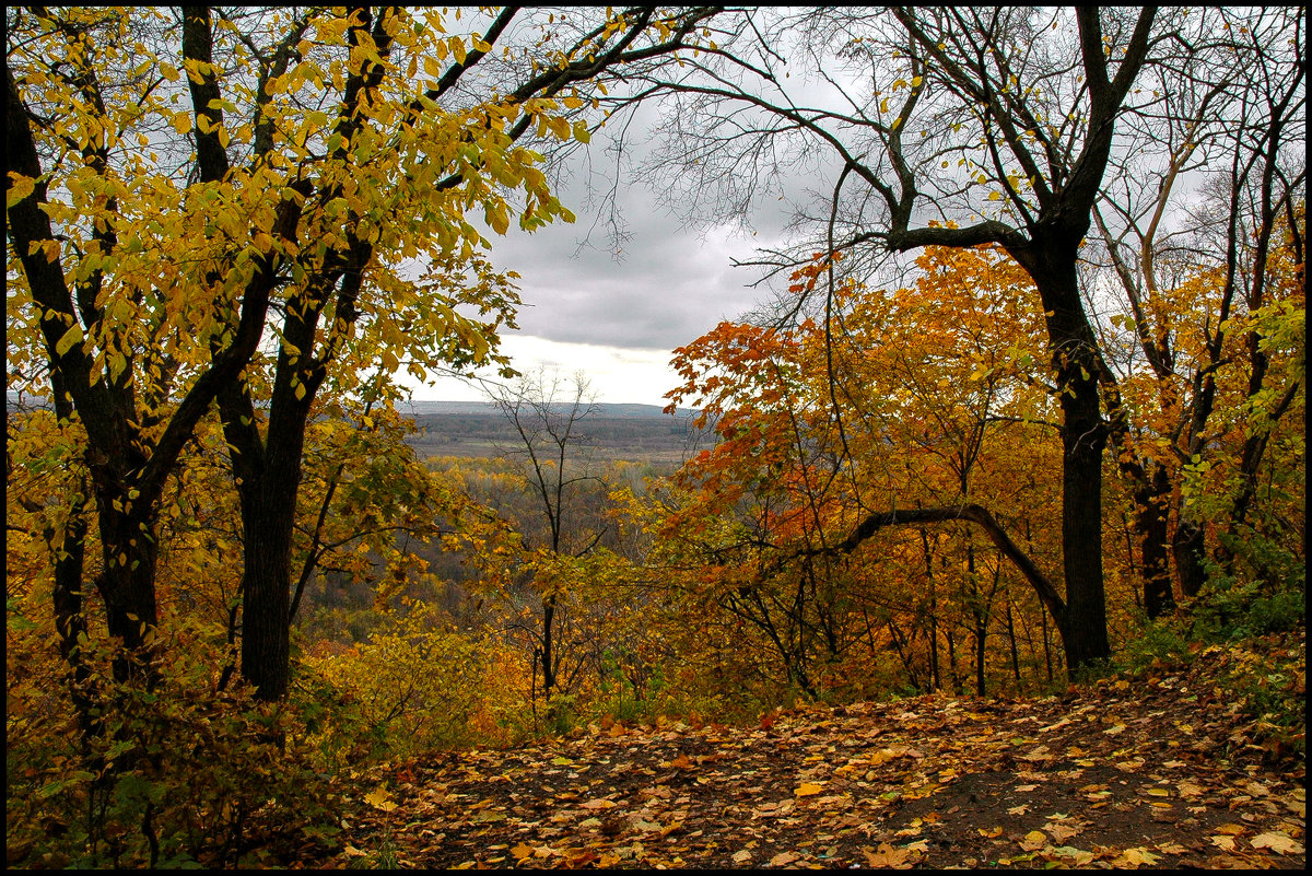 Осенние зарисовки - Алексей Патлах