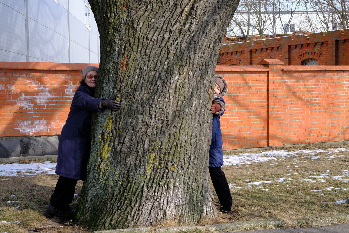 Не свалили, не сумели, видно каши мало ели. - Виктор Гузеев