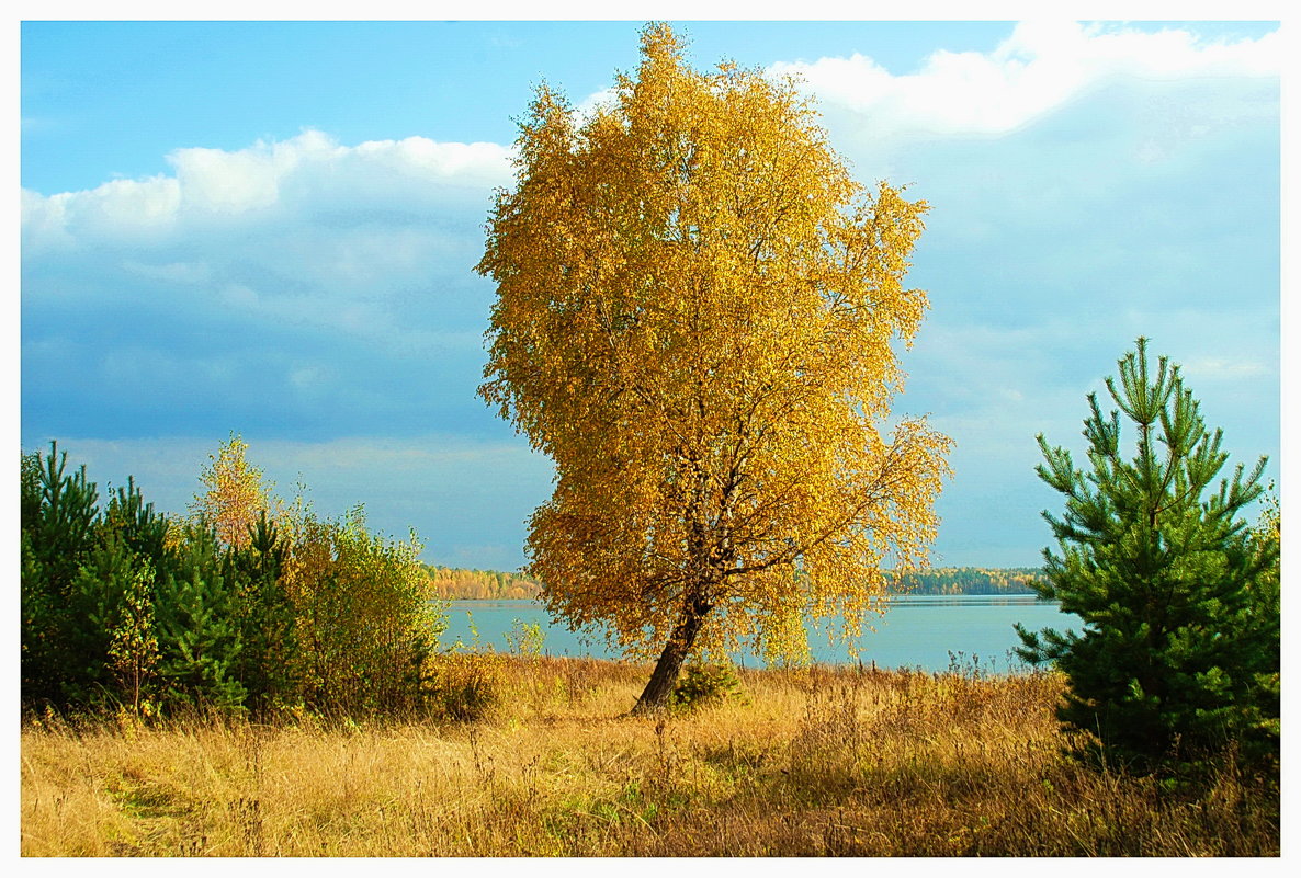 осень - Александр 