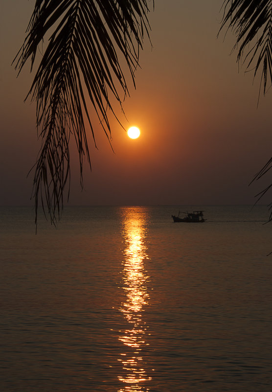 Солнце Вьетнама - Рашид 