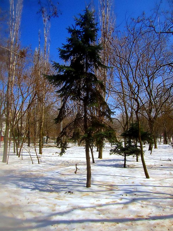 желтый снег - Александр Корчемный