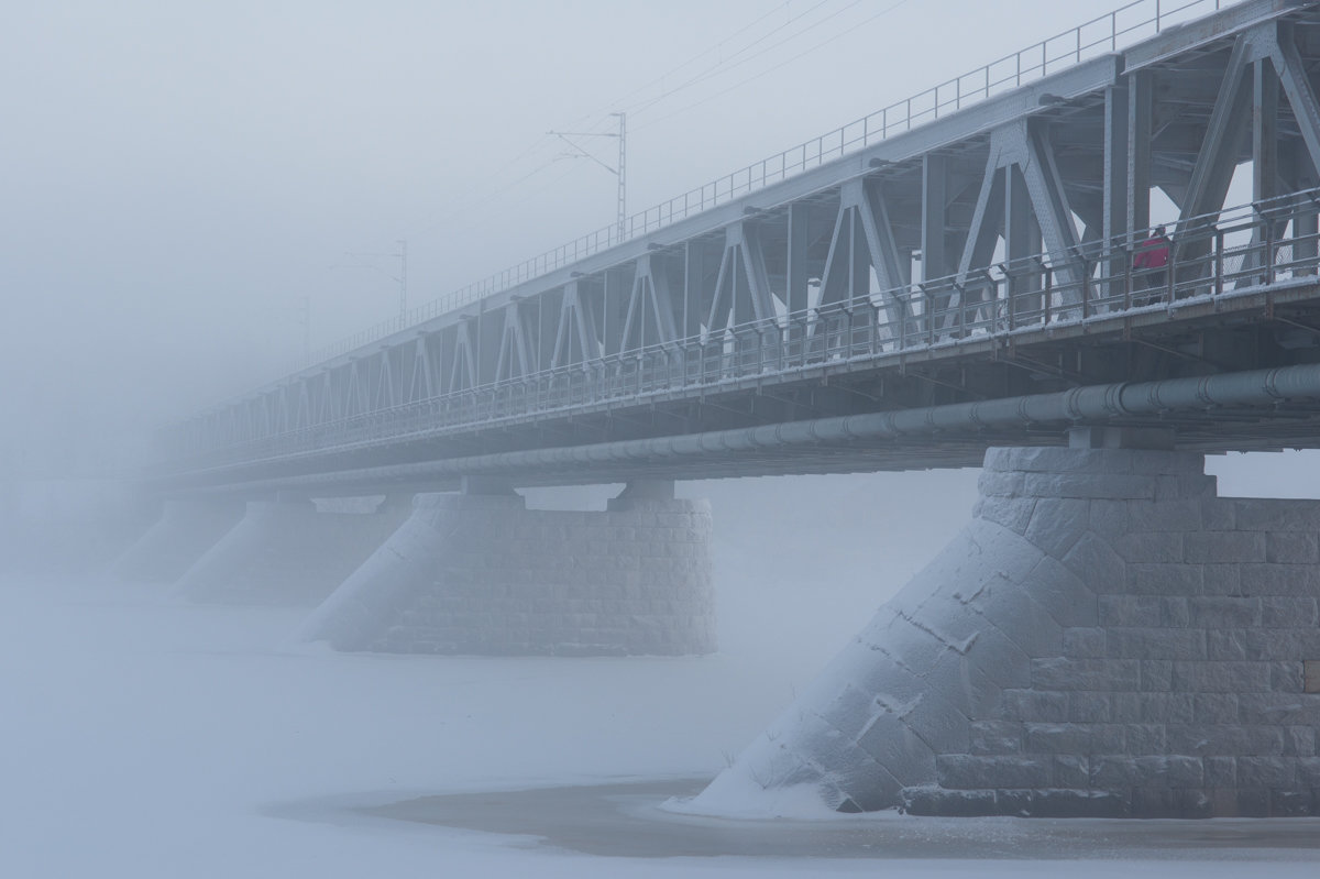 Мост в тумане - Алексей Саломатов 