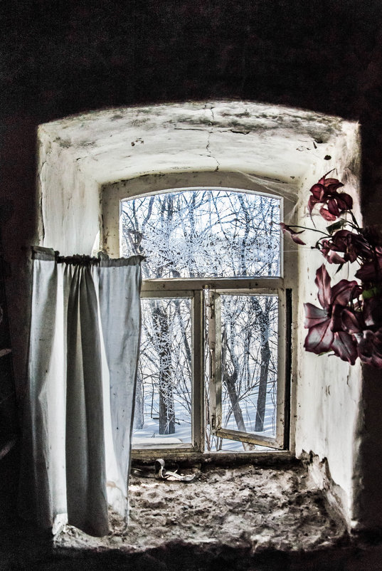 Окно из прошлого - ирина лузгина 