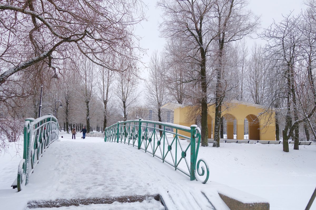 в зимнем парке ,2 - Елена 