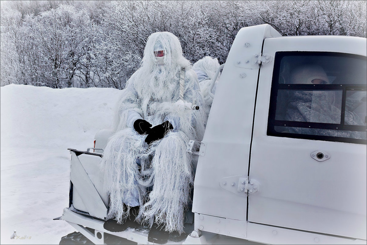 Арктика. Снежные люди - Кай-8 (Ярослав) Забелин