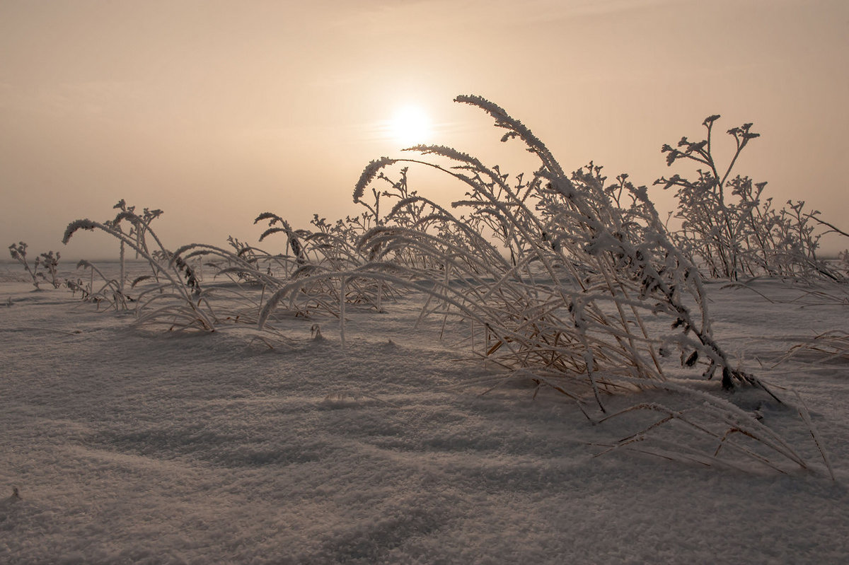 Снег,мороз и солнце... - Сергей Герасимов