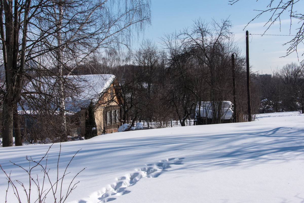 *** - Владимир Безбородов