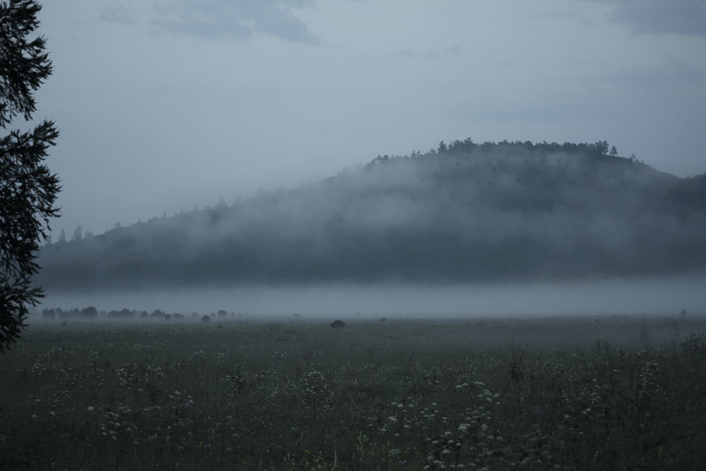 В тумане - Надежда Преминина