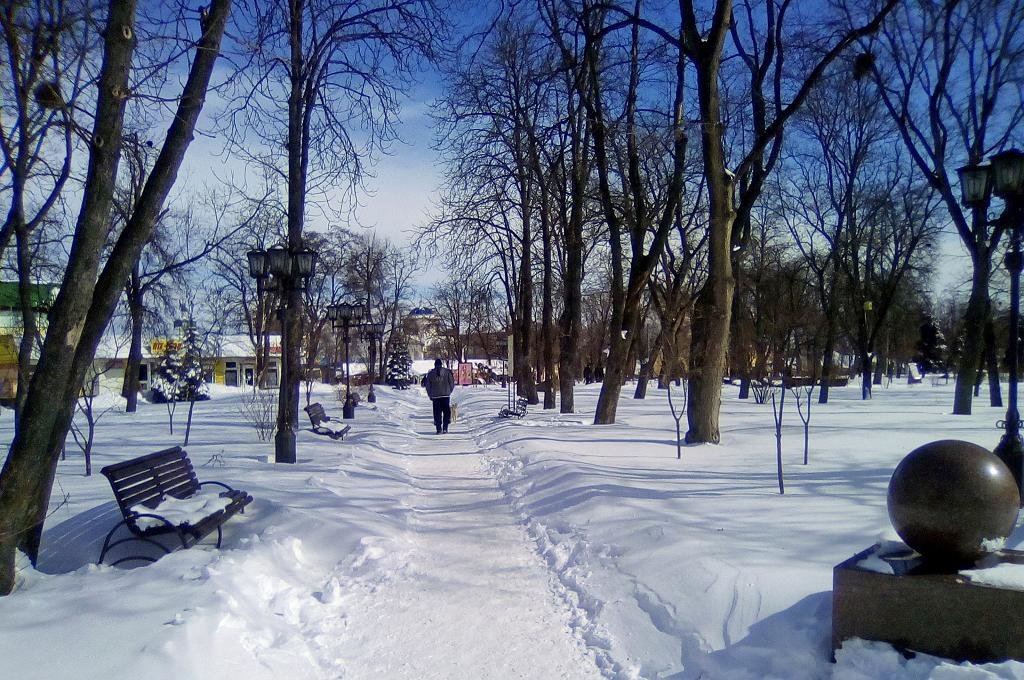 Зимний парк - Роман Савоцкий