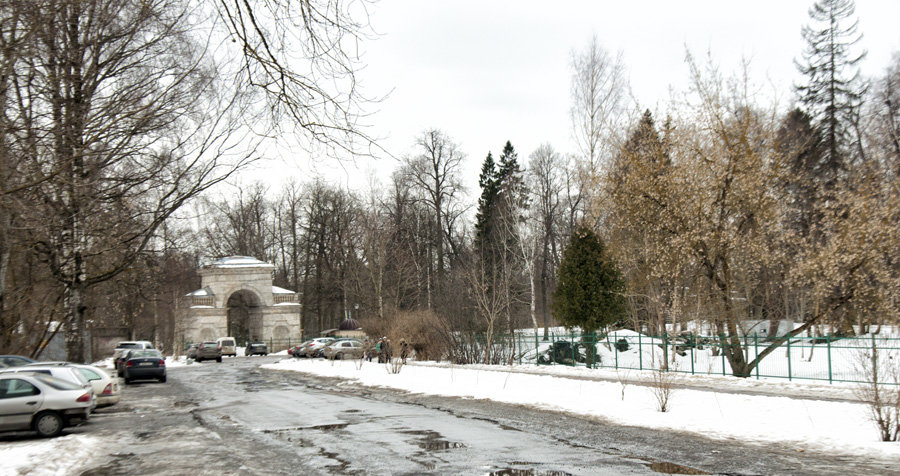 Берёзовые ворота гатчинского парка - El Кондукова