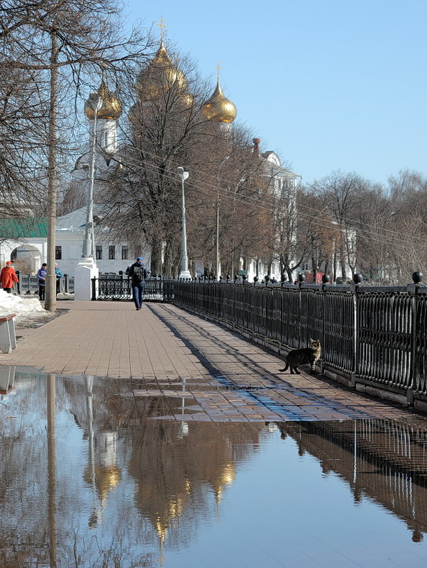 Апрельская лужа ярославской набережной, вчера в Ярославле - Николай Белавин