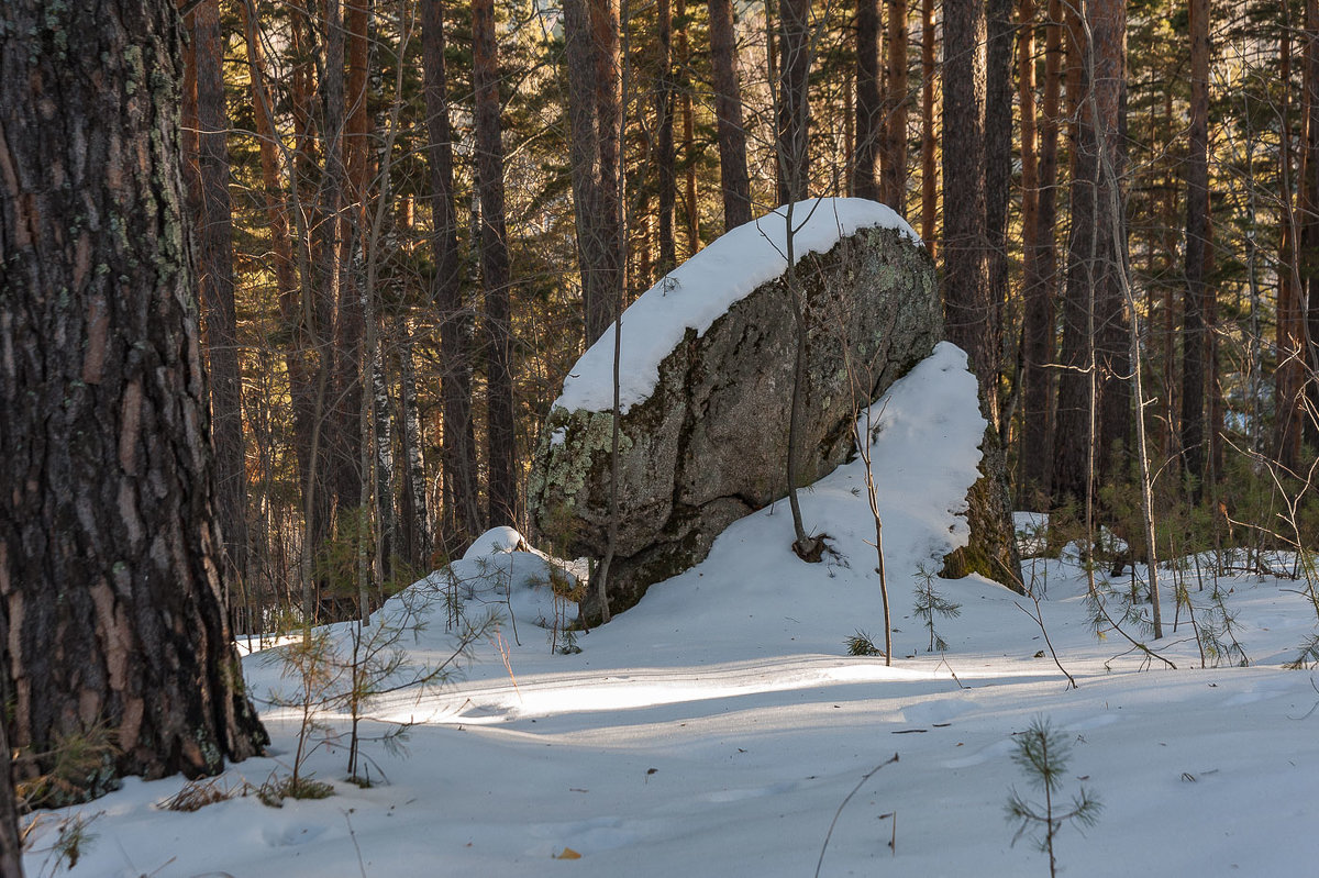 Медведь камень фото