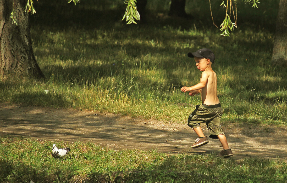 Мальчик играющий с голубем. - barsuk lesnoi