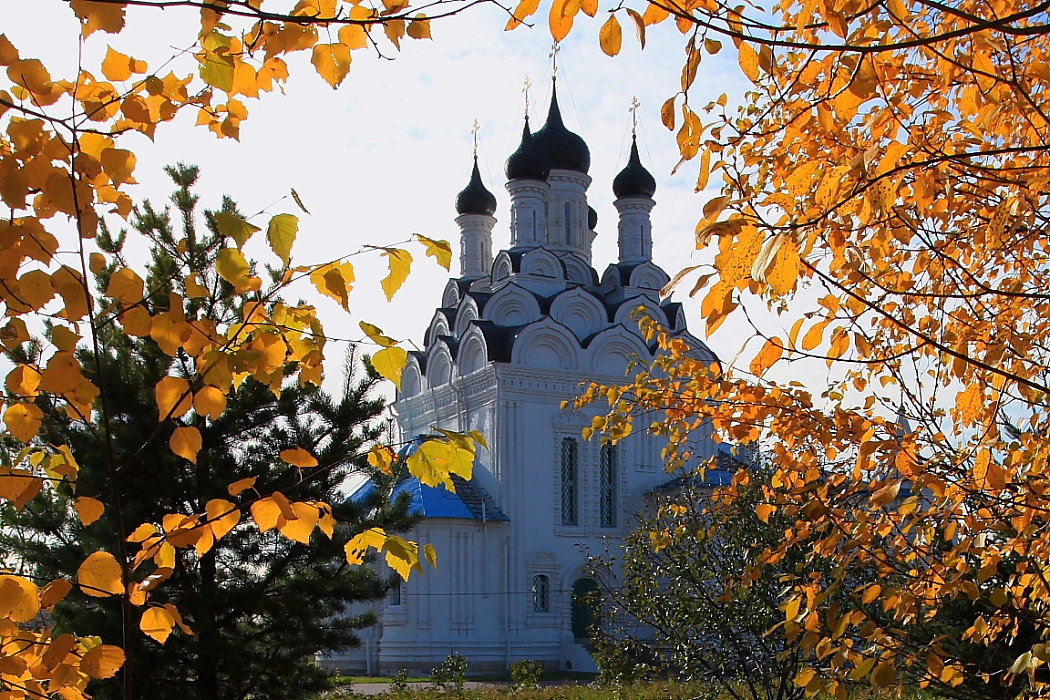 Храм Благовещения Пресвятой Богородицы в Тайнинском. Мытищи. - Николай Кондаков