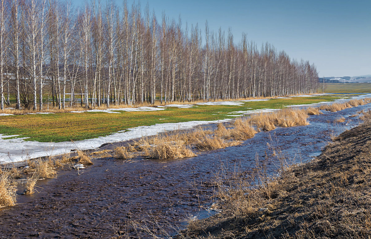 Весна, однако - Любовь Потеряхина