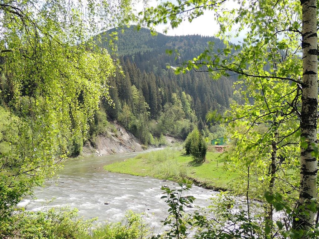 В Карпатах - Роман Савоцкий