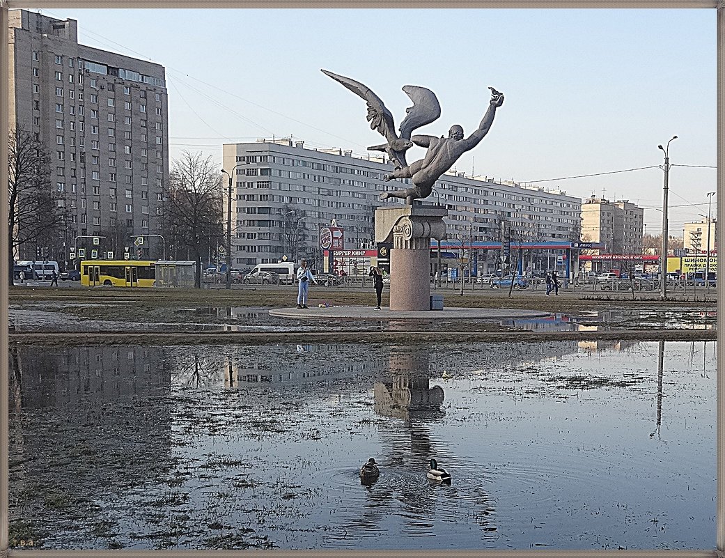 Утки в городе - Вера 